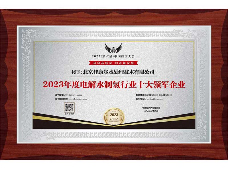2023年度电解水制氢行业十大领军企业